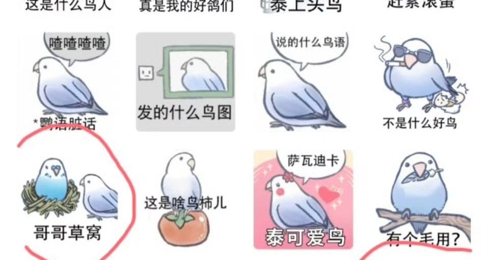 官宣一天就紧急叫停？《无限暖暖》联动小鸟芋光速翻车，紧急撤回