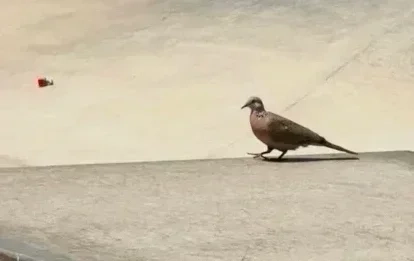 請問你現在那邊是幾度 週末記得出門走走 找風和陽光聊聊天