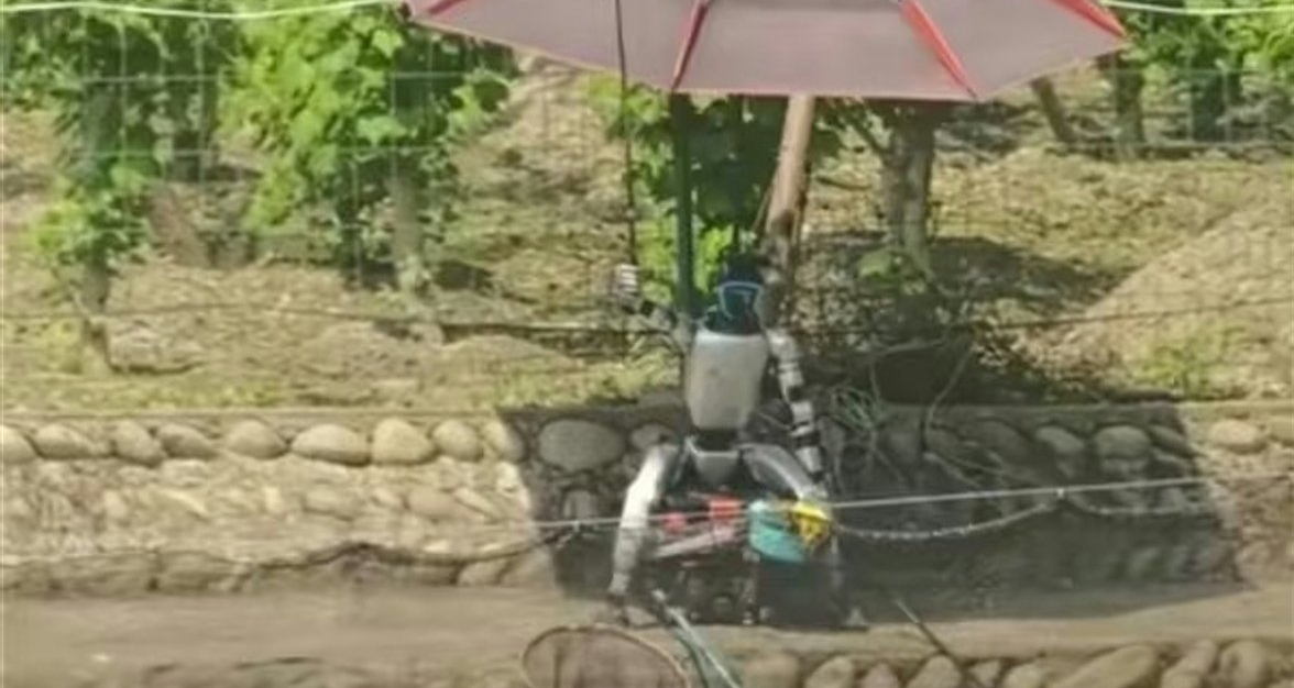 起猛了！成都魚塘驚現機器人釣魚