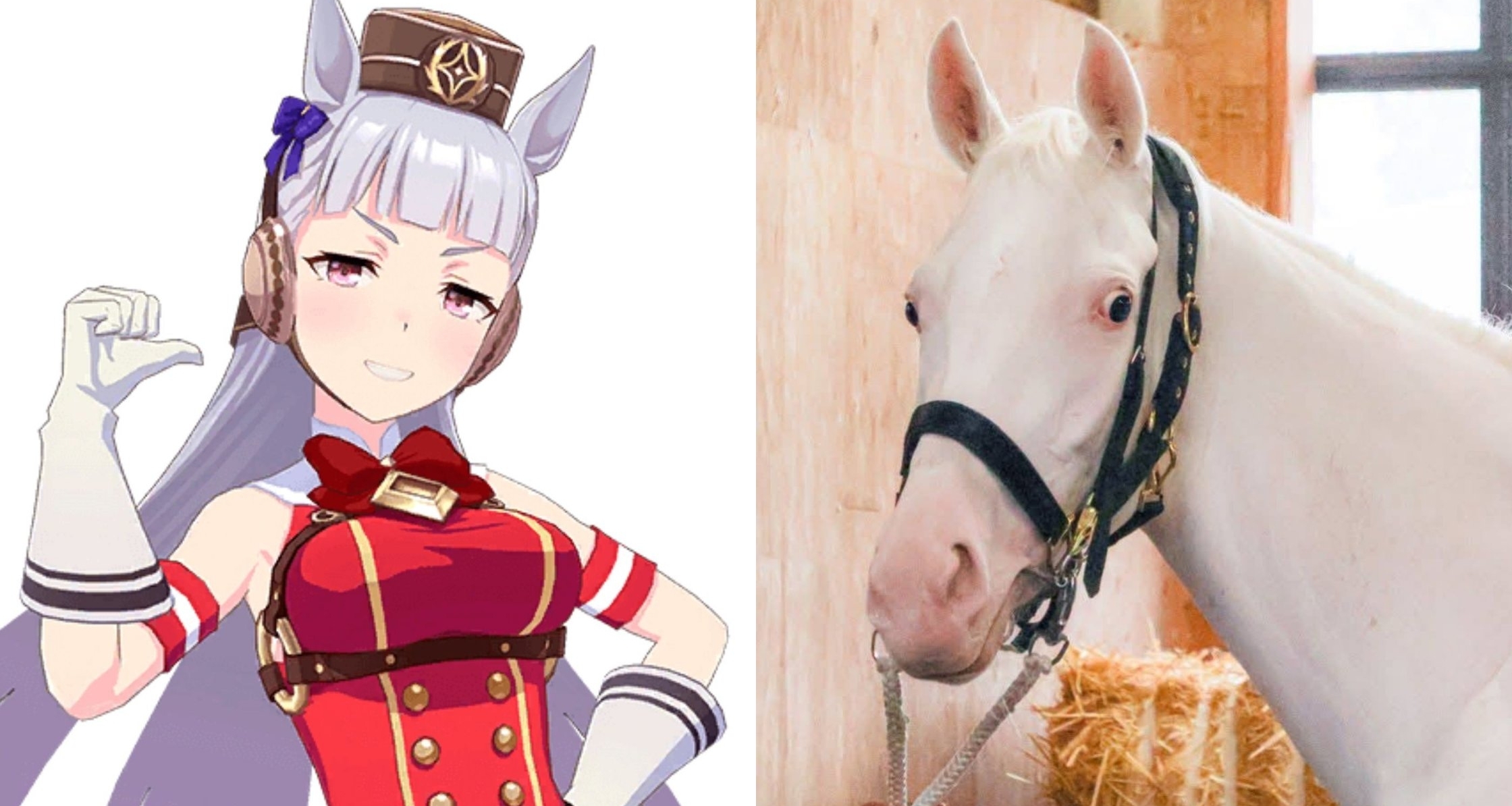 有其父必有其女，黃金船女兒首馬拿下第14名！