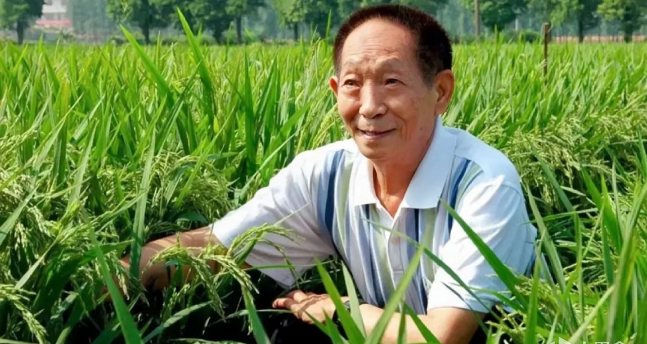 追悼袁老