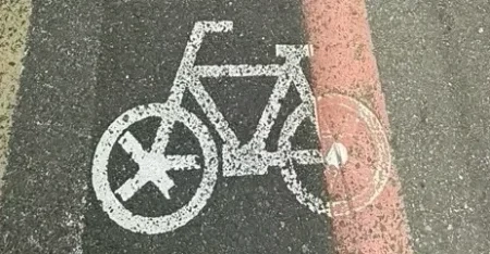阿狗见闻录 正在小日子出差 看到阴间的自行车道气笑了 何意味？