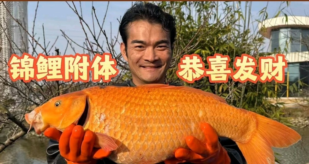 李维刚老宅爆改厕所，所谓熟人价实则专宰自家人！