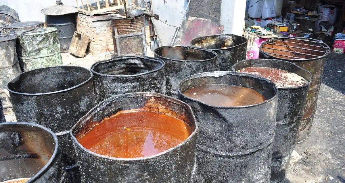 地溝油的逆襲：從“餐桌噩夢”到“綠色黃金”