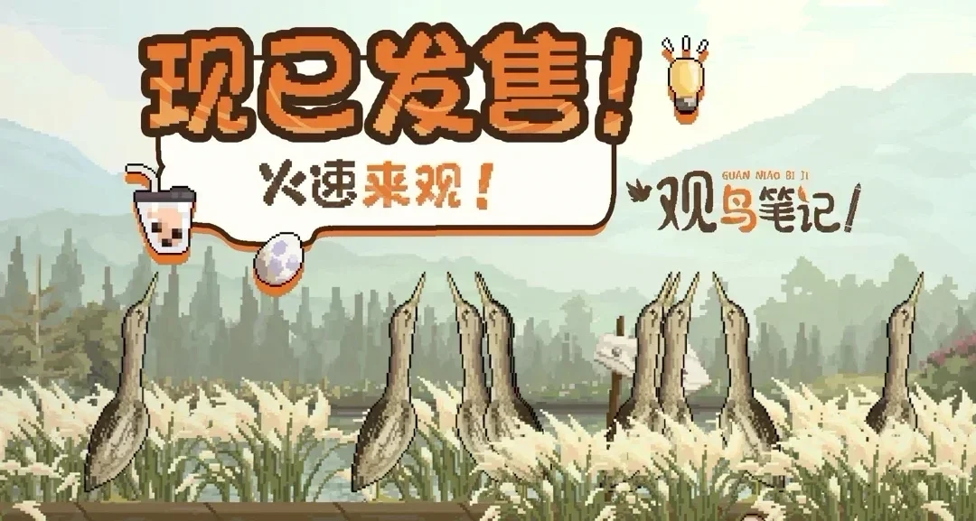 《觀鳥筆記》週末的悄悄更新