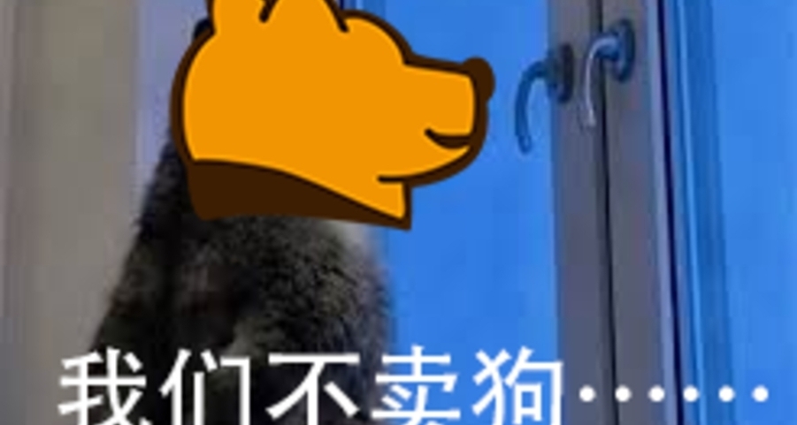 我們是阿狗社，我們不養狗，也不賣狗。