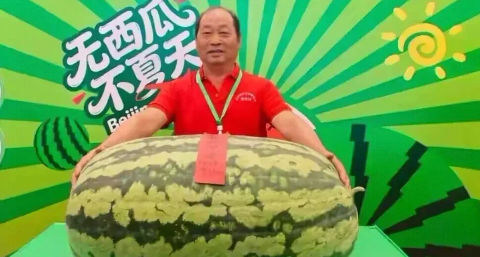 巨型西瓜！120斤“瓜王”拍卖617元成交