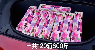 雷军回用小米YU7GT装600斤车厘子被指违规：封闭进行实验