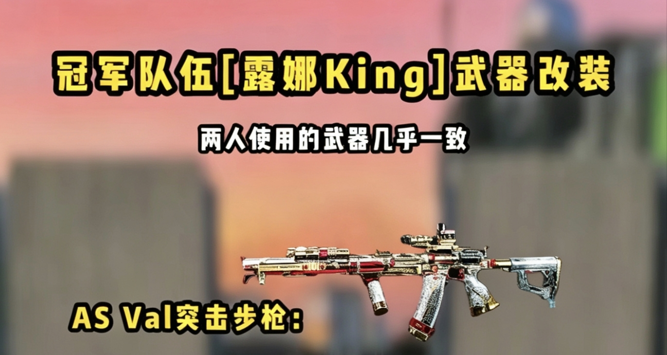 蘇州超級武將杯冠軍露娜King全套改槍分享