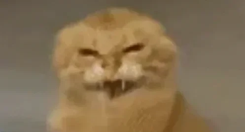預告：12小時後我們將對外公開一款全新作品 來猜猜看是啥