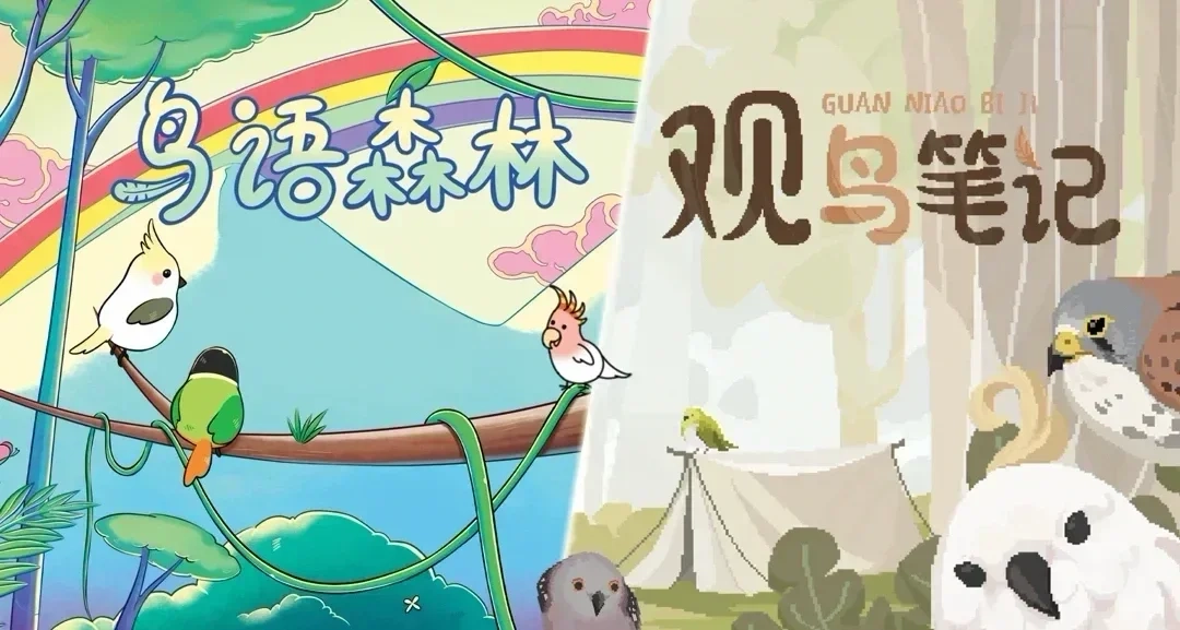 两只鸟鸟同时登录桌面🕊观鸟笔记✖鸟语森林捆绑包现已上线！