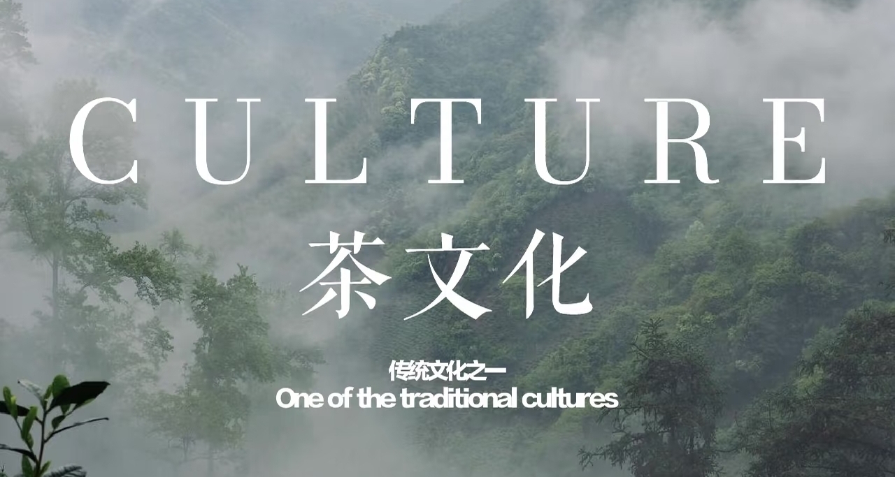 保姆級：1⃣4⃣張圖看懂茶❗建議收藏[cube_喫瓜][cube_喫瓜]