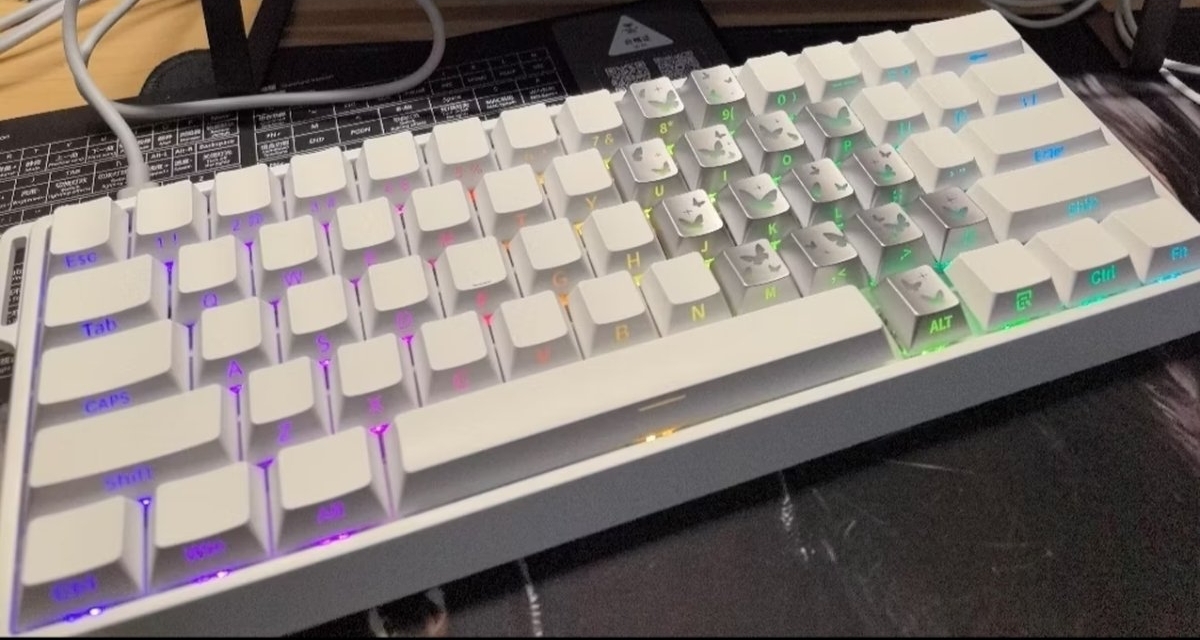 只要69元磁軸鍵盤：狼蛛win60帶8K和0.01精度