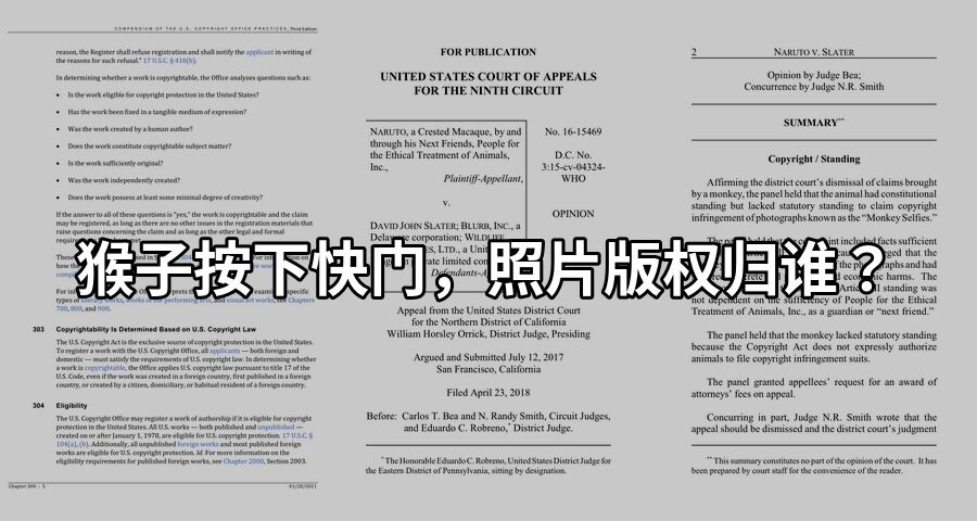 猴子按下快门，照片版权归谁？