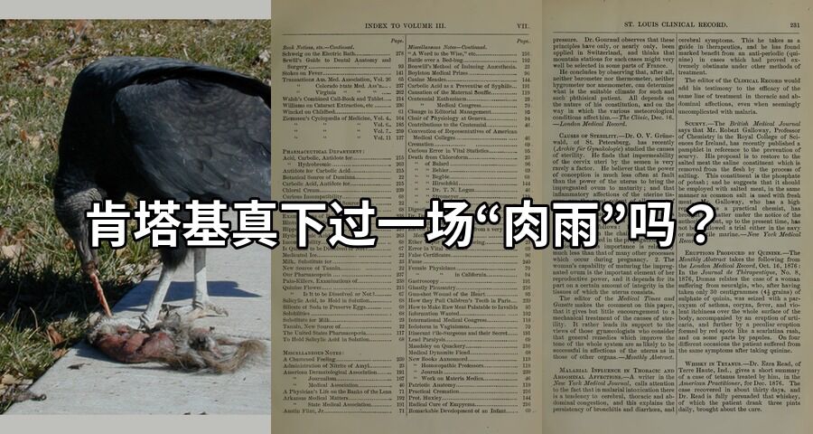 肯塔基真下過一場“肉雨”嗎？