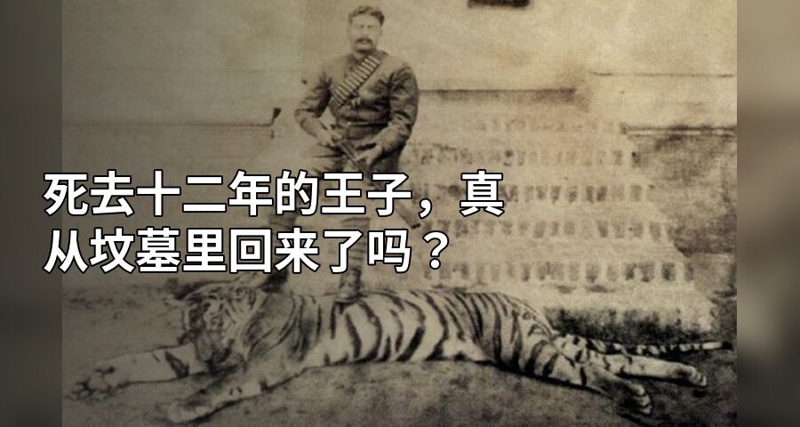 死去十二年的王子，真从坟墓里回来了吗？