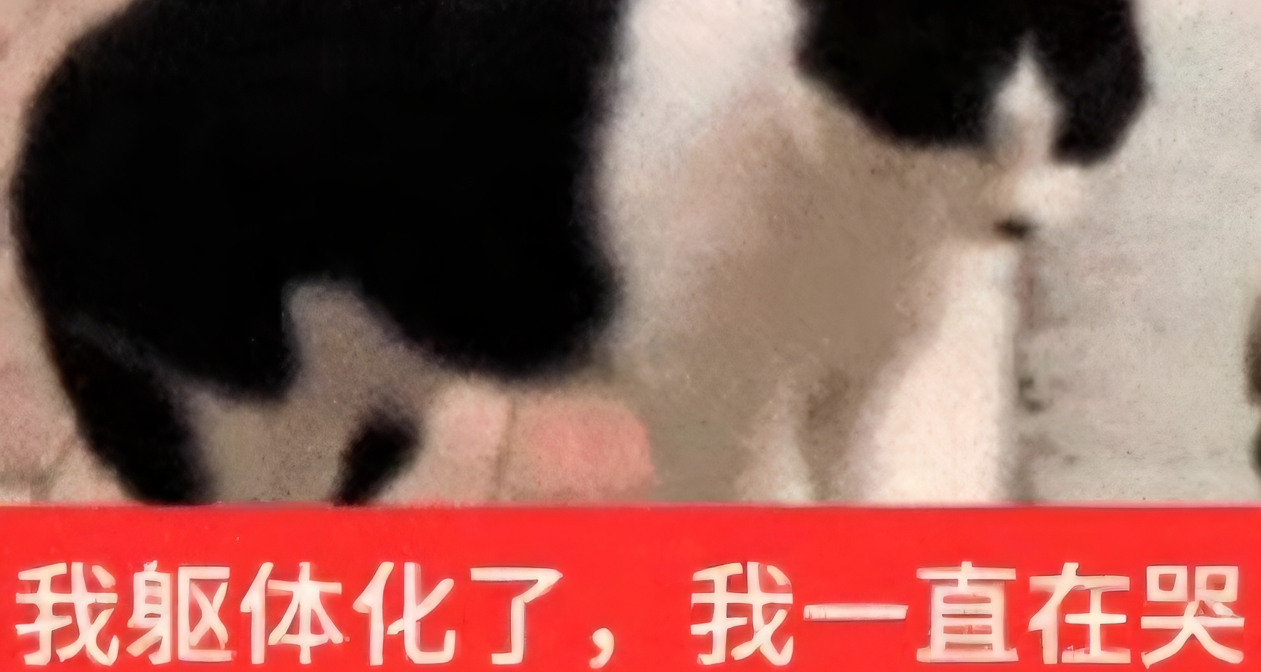 大家如果換過身份證，一定要記得來銀行更新身份信息…