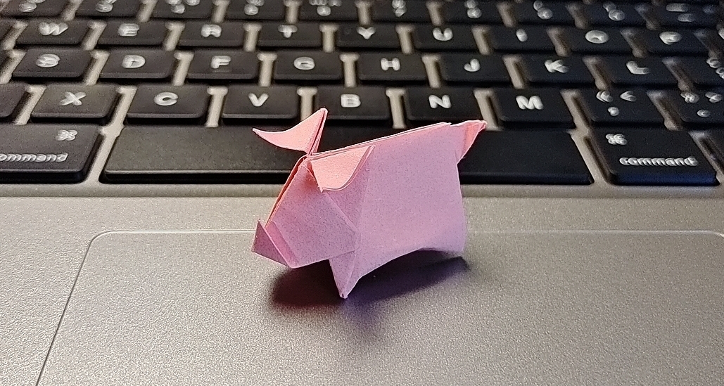 是的，一隻豬而已~