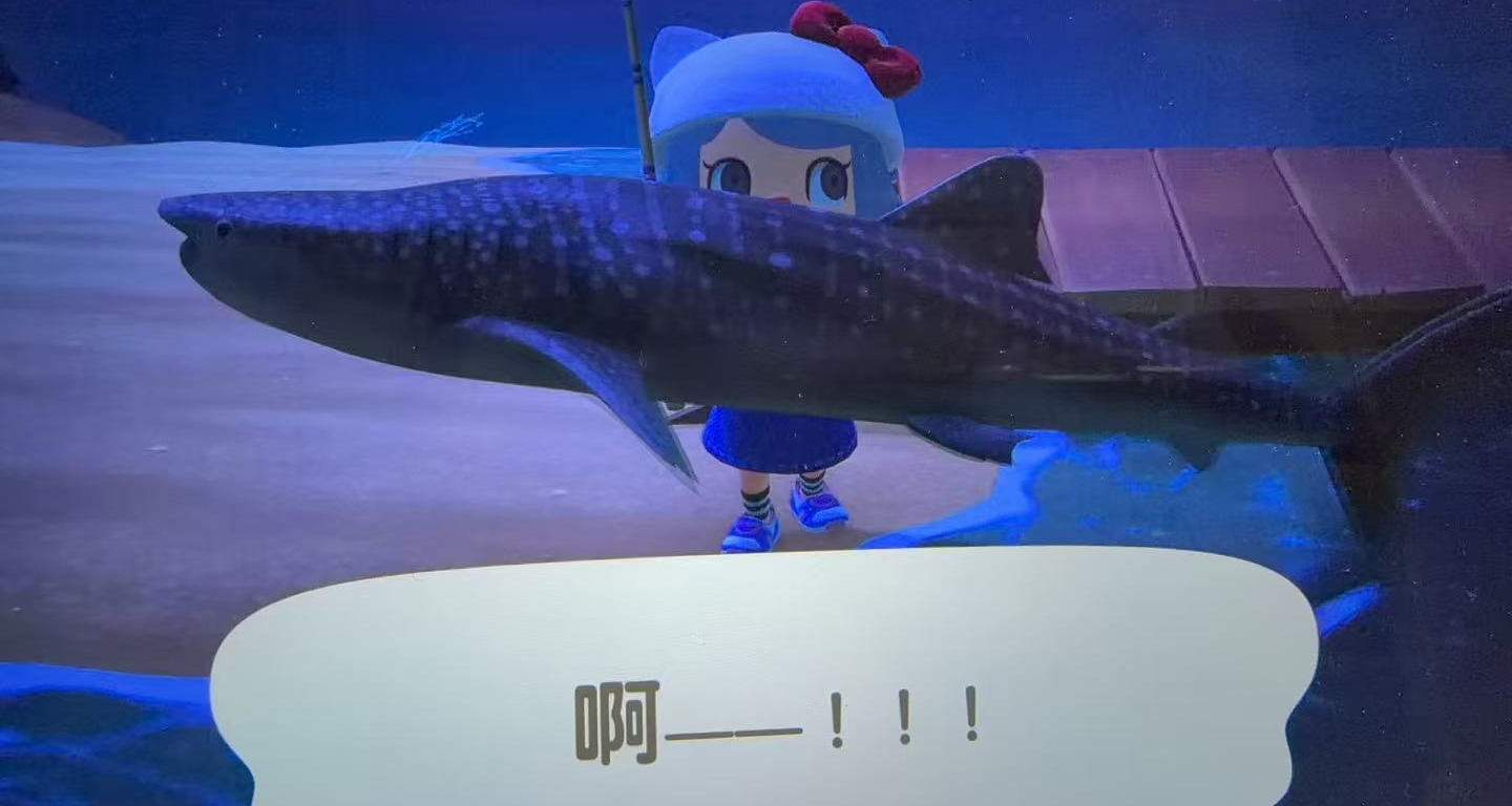 8.16｜Switch卡帶/數字好價速通