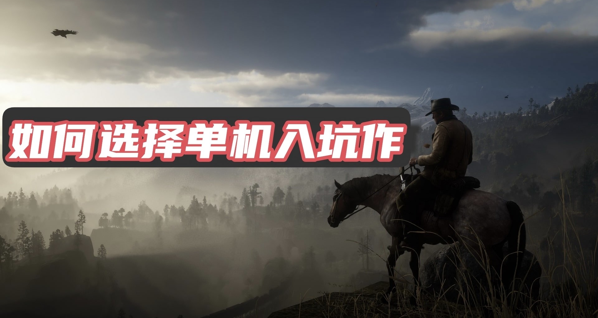 如何选择自己的单机入坑作【单机入坑攻略01】
