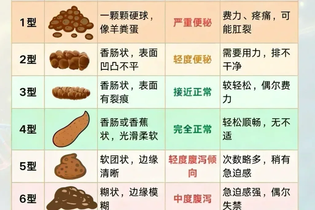 💥健康的便便长什么样?💥