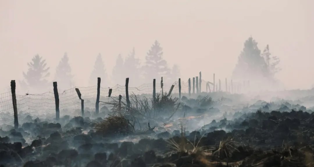 歐洲高溫野火“引爆”一戰二戰遺留休眠炸彈