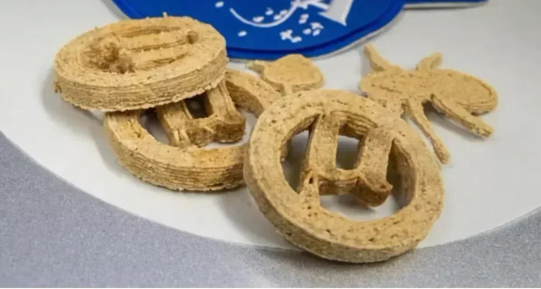 塑料瓶“变身”高蛋白饼干？科研项目μBites探索塑料垃圾新出路