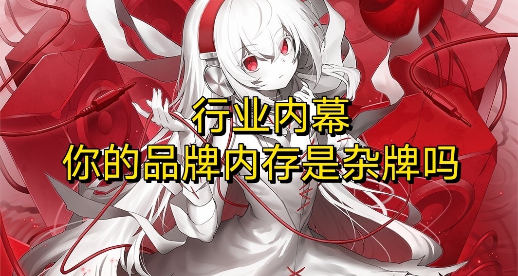 你那看起来高大上的品牌内存，实际是杂牌？