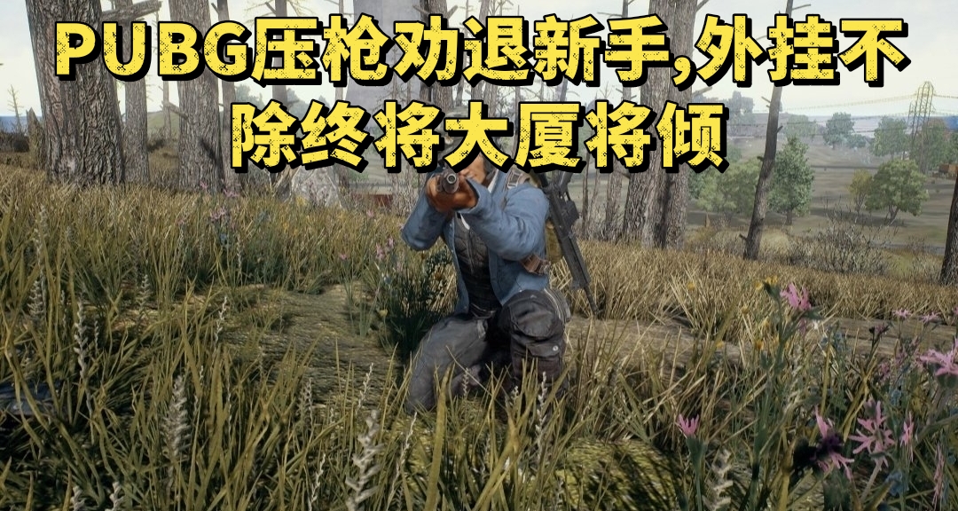 PUBG压枪劝退新手，外挂不除终将大厦将倾