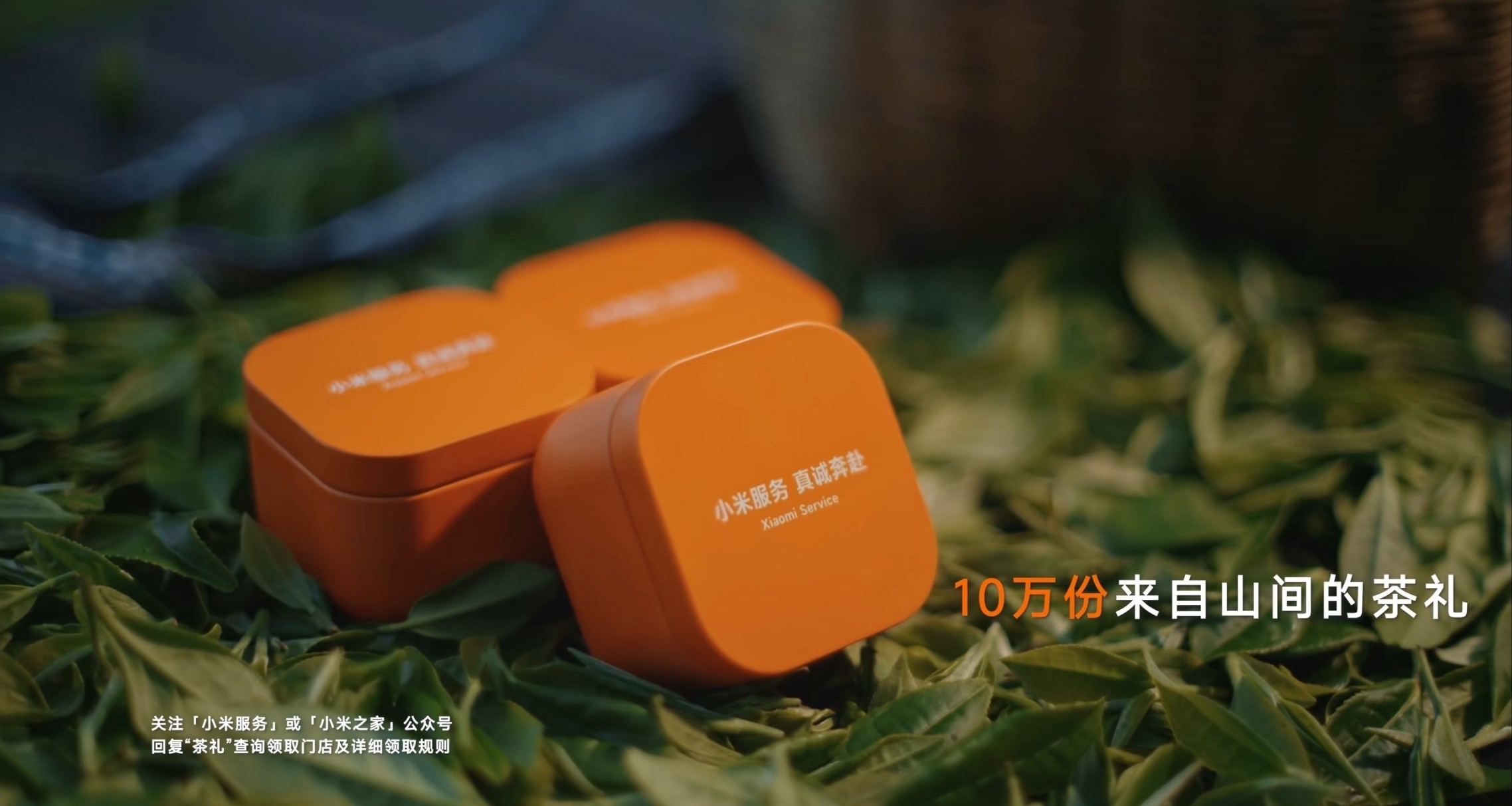 【小米再赴貴州扶貧茶園，10萬份茶禮即將免費發放】