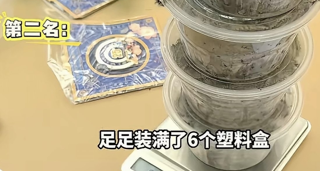 北京野生動物園舉辦抓“毛毛蟲”大賽