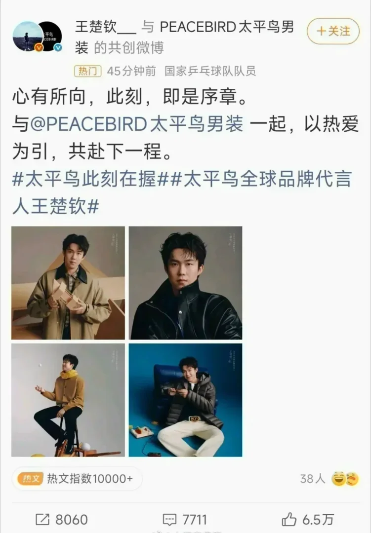 王楚钦 太平鸟