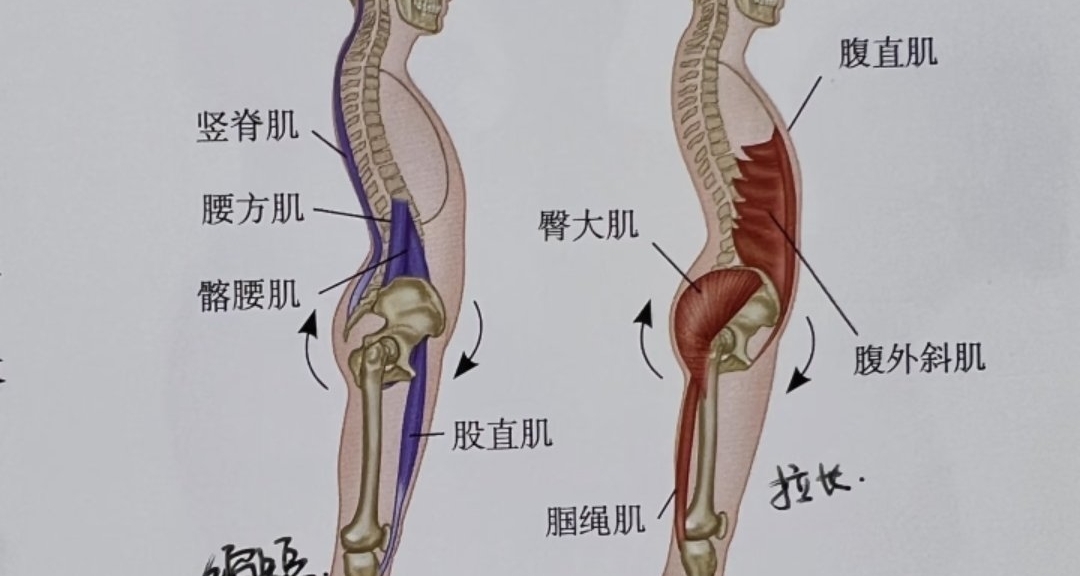 體態調整公式來啦