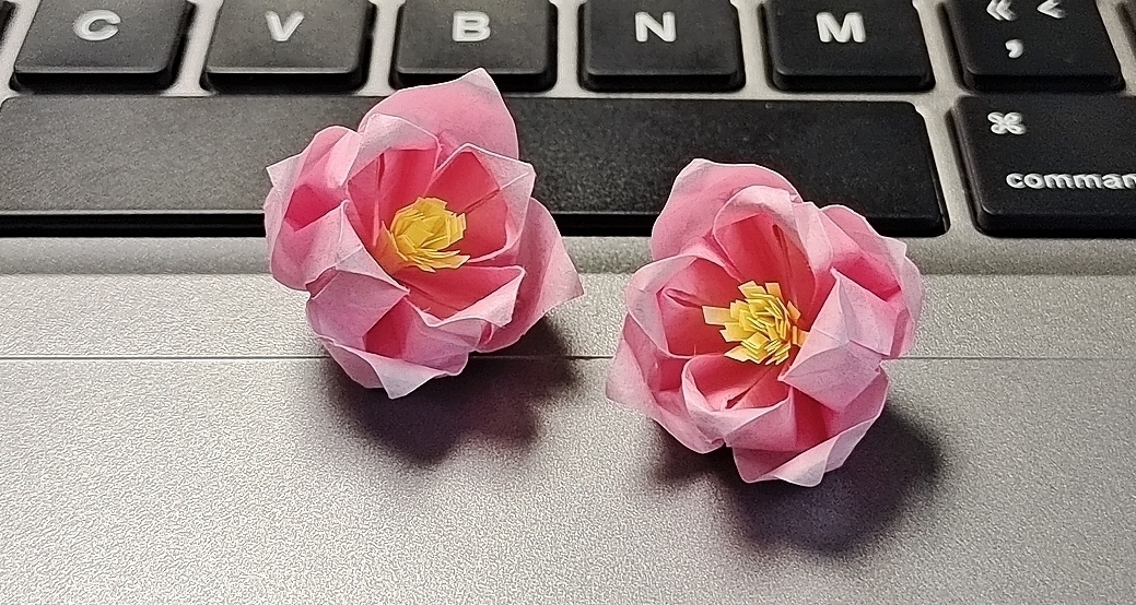 海棠依舊