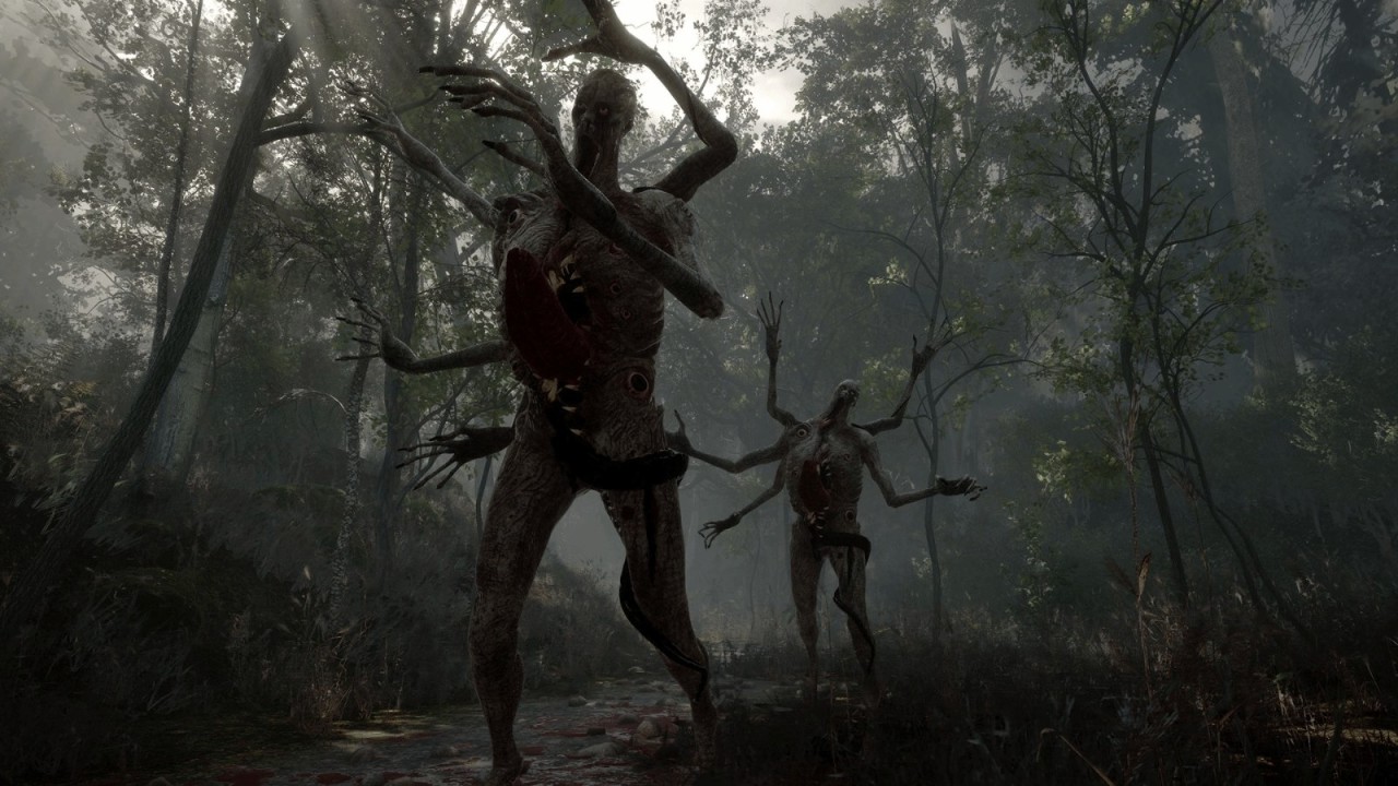 《流浪之魂》開發商倒閉：因遊戲銷量差且遭受網暴