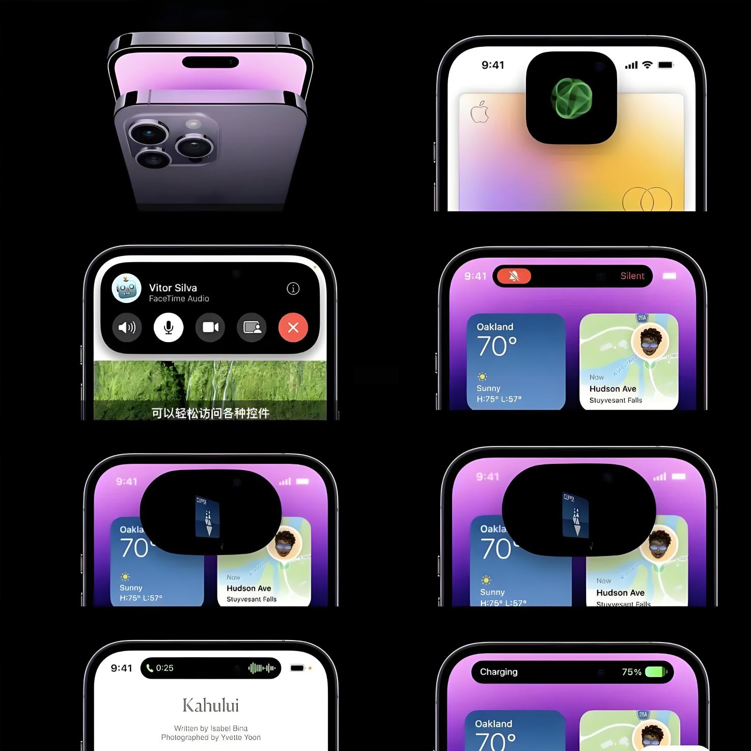 羅永浩銳評手機靈動島爲「屎上雕花」！