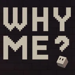 Why Me - 小黑盒