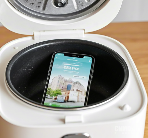 電飯鍋“法拉第籠”搶票被闢謠：實則降低成功率