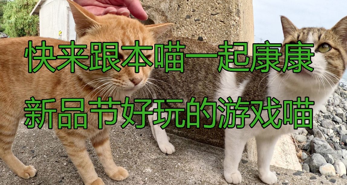 新品節三款高質量遊戲推薦，童叟無欺：孤星獵人/幽靈行者2/TEVI