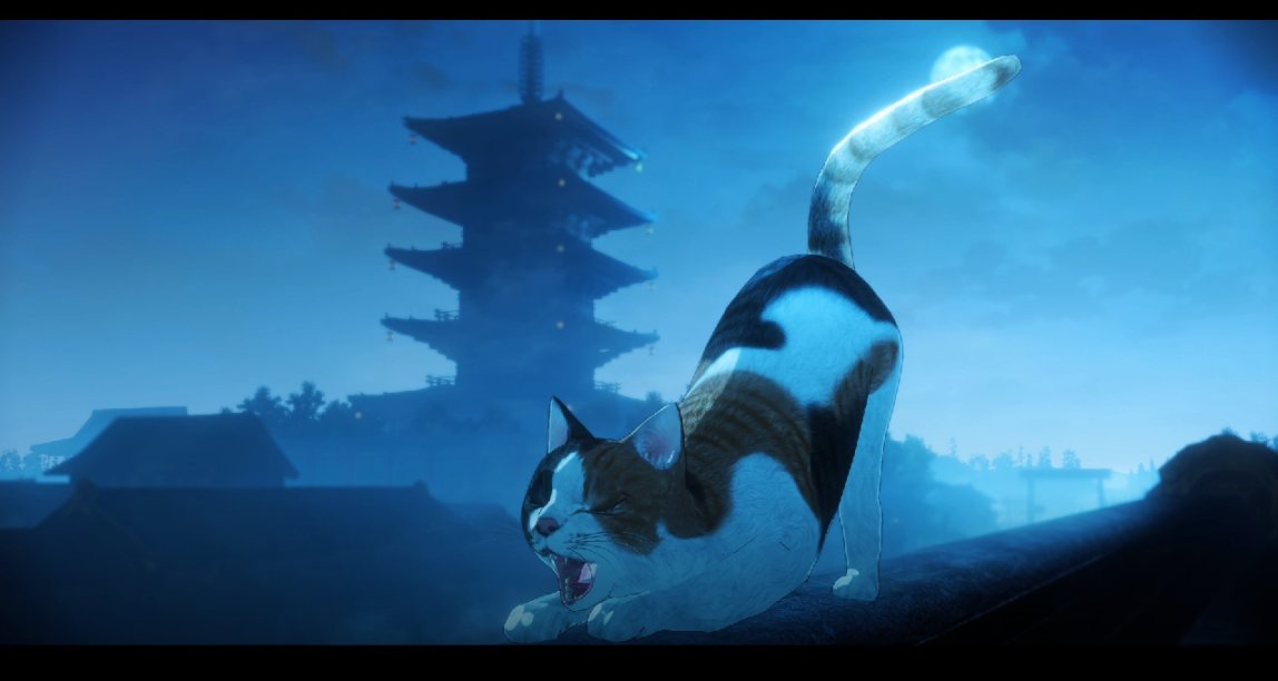 《Fate/Samurai Remnant》發售第13天，商店頁好評率突破90%！