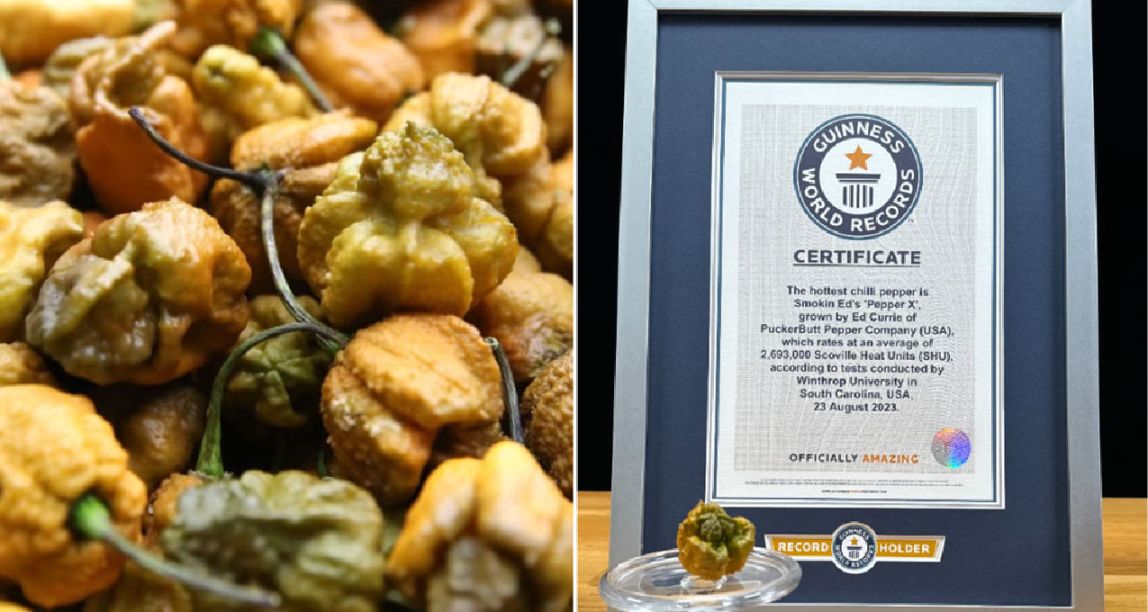 Pepper X ：世界上最辣的辣椒