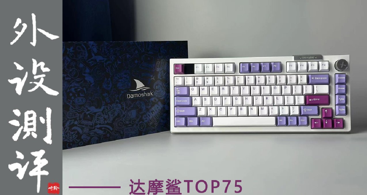 拒絕軟彈！兜兜轉轉還得是TOP——達摩鯊TOP75