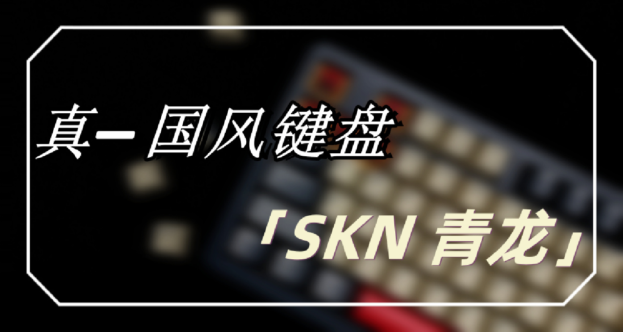 内卷新时代    SKN 青龙