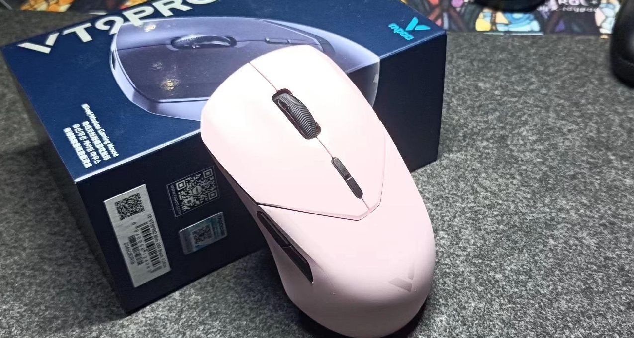 200不到，4K接受率和極致手感？中大手的性價比之選雷柏VT9PRO
