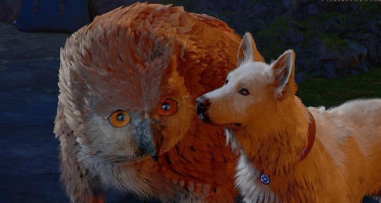 報報快訊：2023遊戲中最可愛的動物都有誰