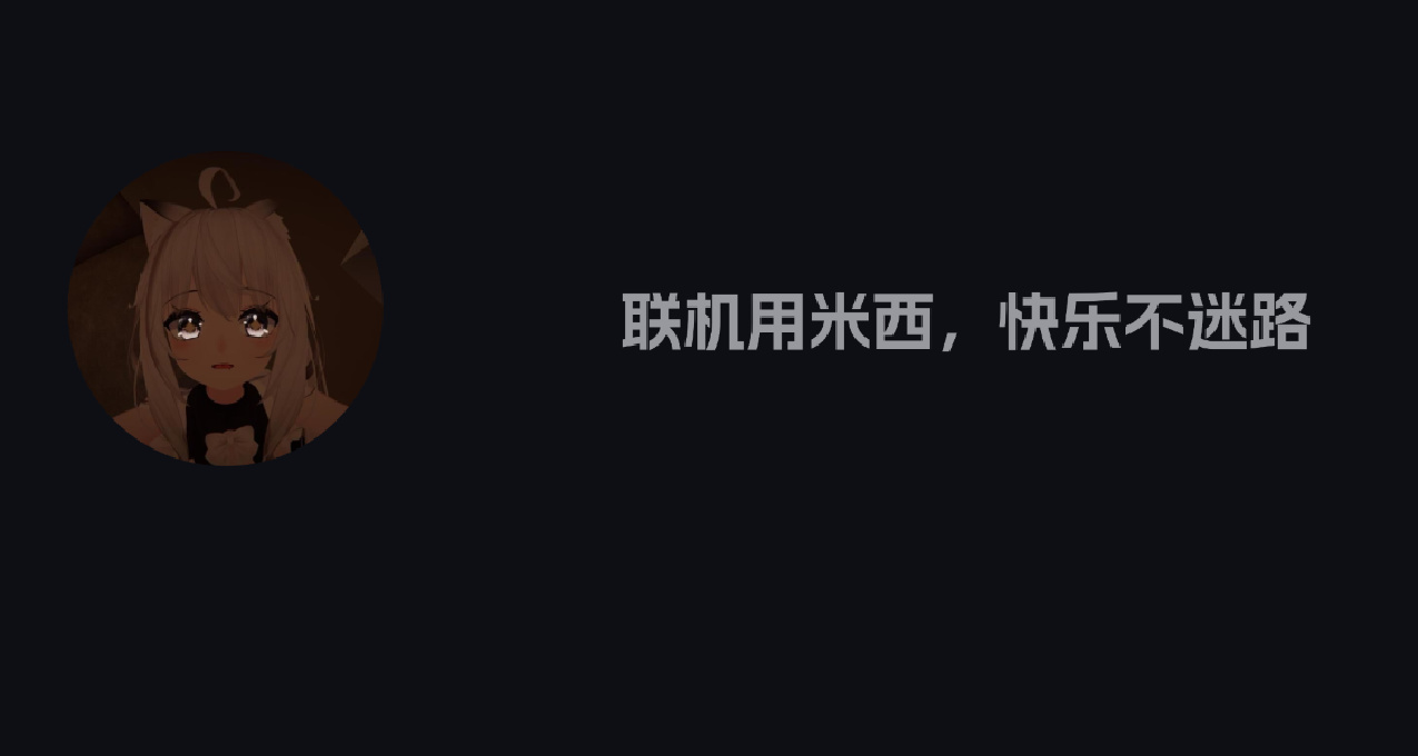 向各位精神股東彙報一下免費局域網聯機軟件米西的近況