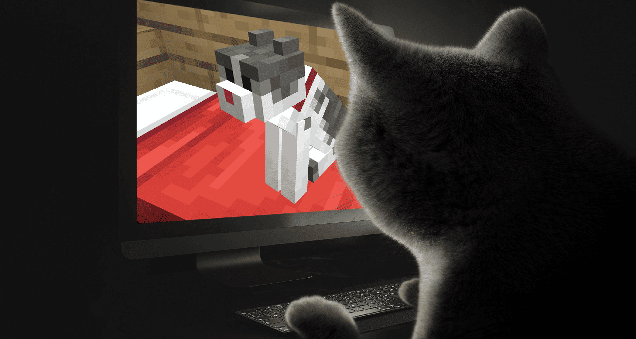 《我的世界》中Jellie猫的现实原型去世