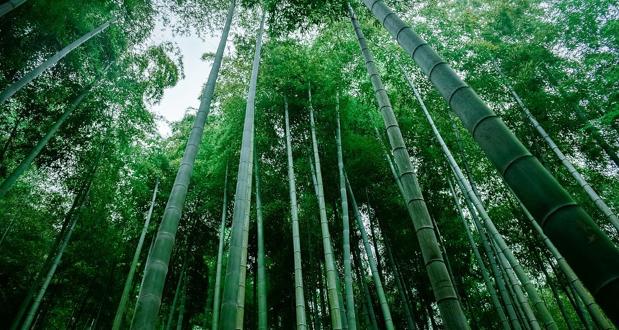 浙江所有中等景点个人向(山篇)