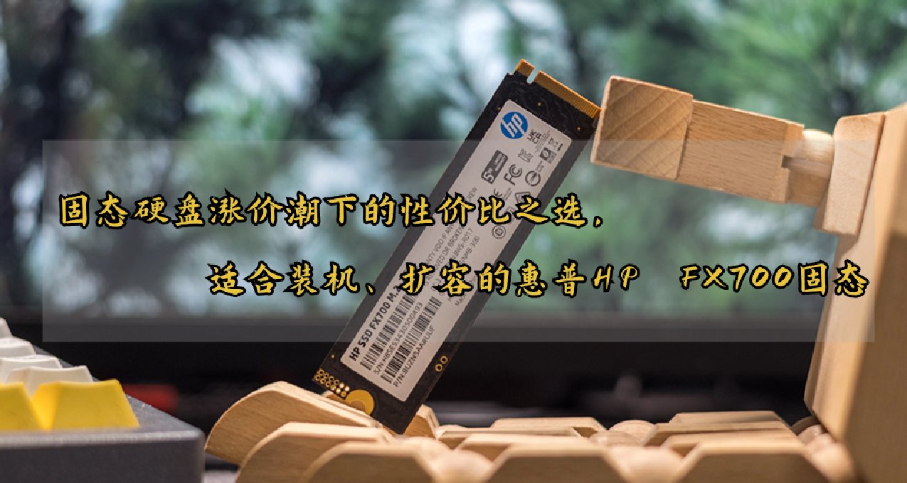 固態硬盤漲價潮下的性價比之選，適合裝機、擴容的惠普HP FX700