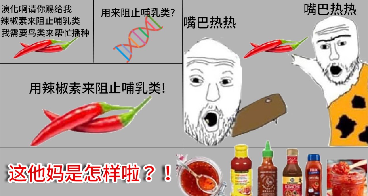 突然火起來的meme，讓我明白了人類爲什麼會成功進化